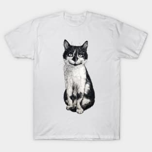 Ogie the cat T-Shirt